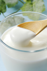 ヨーグルト　Yogurt