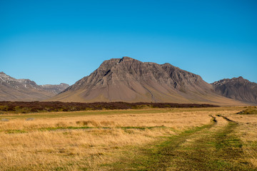 Fototapeta na wymiar Yellow meadow and volcanic mountain