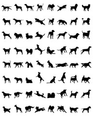 Different black silhouettes of dogs, vector - obrazy, fototapety, plakaty
