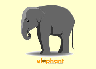 Elephant vector cartoon.