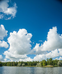Beautiful russian landscape with willows