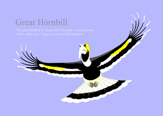 A vector cartoon of flying Great hornbill (Buceros bicornis).