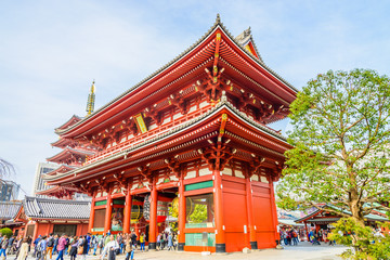 Obraz premium Sensoji temple