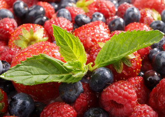 Berries and mint
