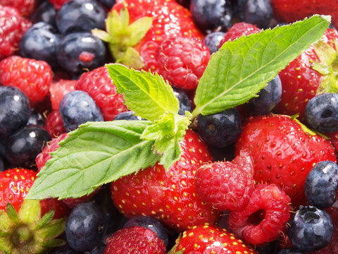 Berries with mint