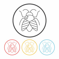 insect line icon