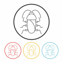 insect line icon
