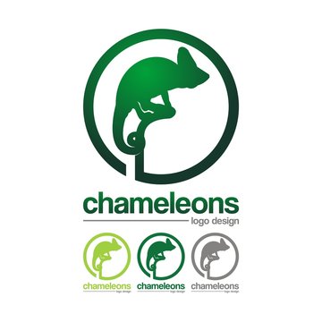 Simple Circle Design of Chameleons
