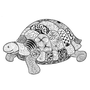 Turtle doodle  illustration