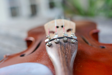 Violin tuner.