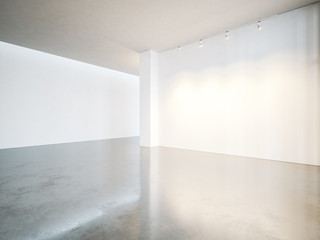 Empty gallery interior with white canvas and concrete floor. 3d render