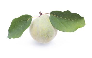 Quince with leaf on white background