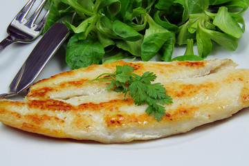 filet de panga 26112015