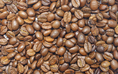 coffee beans