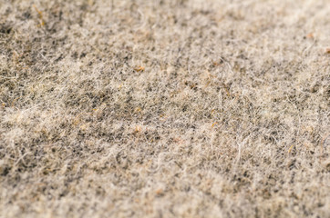 wool fabric macro