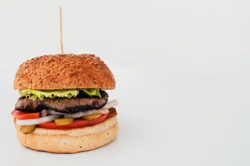 burger on a white background