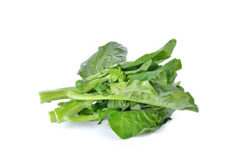 chinese broccoli  on white  background