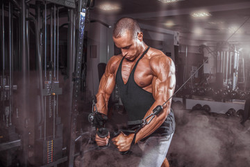 Handsome muscular man doing triceps in the gym.