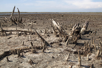 Climate change