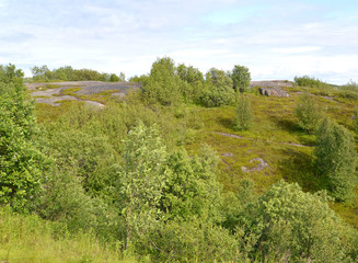 Fototapeta na wymiar Hill slope with stone exposures and bushes. Murmansk region