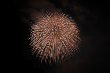 Fototapeta premium Close-up of Japanese fireworks in Summer Festival, Nagaoka city,