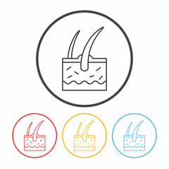 Hair root line icon
