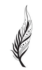 Obraz premium Feather