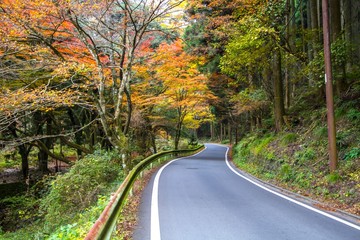Autumn colors in Kyoto Japan