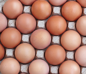 Chicken brown eggs in a tray, the top view.