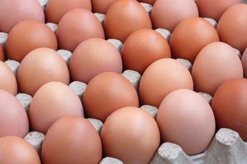 Chicken brown eggs in packing , the top view.