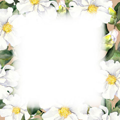 Watercolor floral frame with white flowers fringe on paper texture 