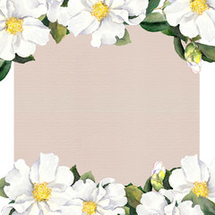 Postcard with floral frame - white flowers. Watercolour on beige paper 