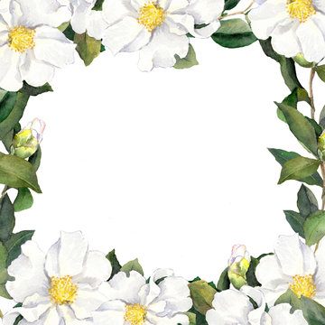 Watercolour floral frame with white flowers edging 