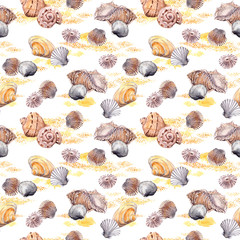 Seamless seashell and sand pattern on white background. Watercolour 