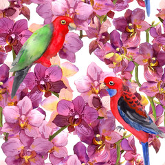 Exotic floral pattern - parrot bird, blooming orchid flowers
