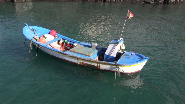 Small white and blue boat floating on water in sea