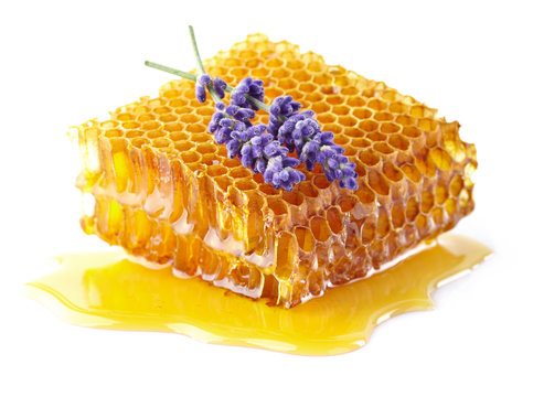 Honeycombs with lavender flowers