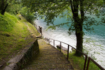 lake Como saw through trails at isola Comacina, Italy. Between mountains, trees and green flowers