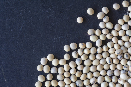 Top View Soy Beans