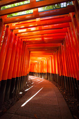 Fototapeta premium Fushimi Inari Taisha, tunel japońskiej nazwy na słynnym czerwonym słupie lub torii w Fushimi Inari taisha Kioto, Japonia