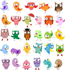 Set of vector cartoon birds