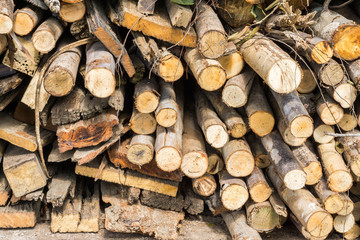 Stack of firewood