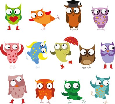 Set of vector cartoon birds owls