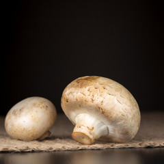 Mushrooms on the dark background