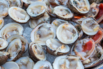 Vongole e fasolari crude su ghiaccio