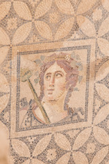 Mosaic in Terrace Houses, Ephesus Ancient City