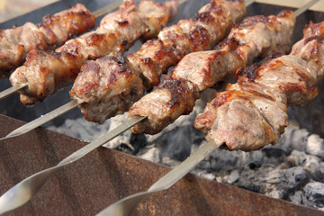 Skewers on the grill