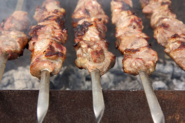 Skewers on the grill