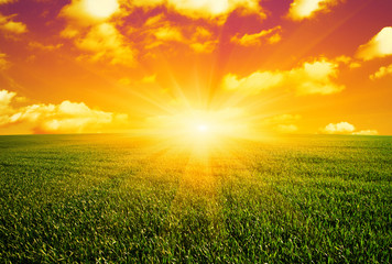 Sunset over field