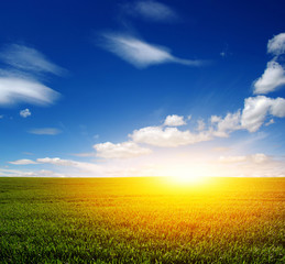  field and sun